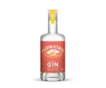 Flowstate Craft Gin 700 ml 1