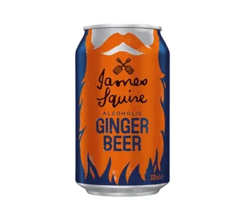 James Squire Alcoholic Ginger Beer cans 330ml 1